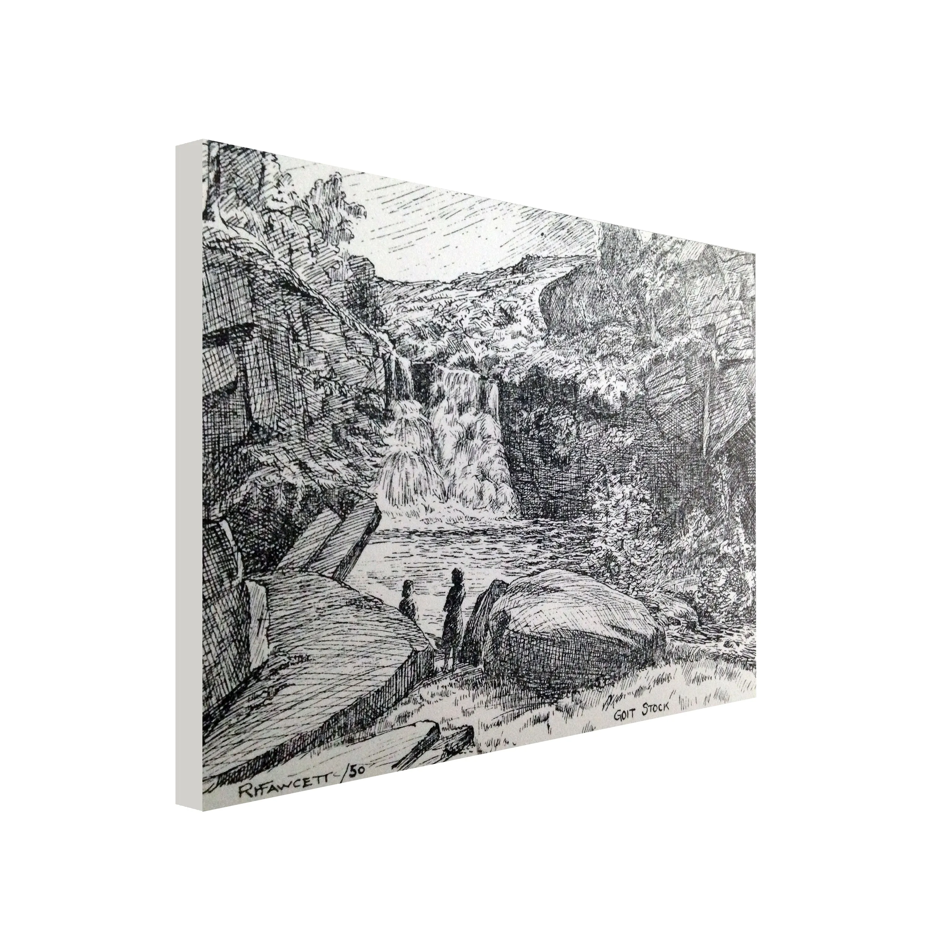 Goit Stock Canvas Print